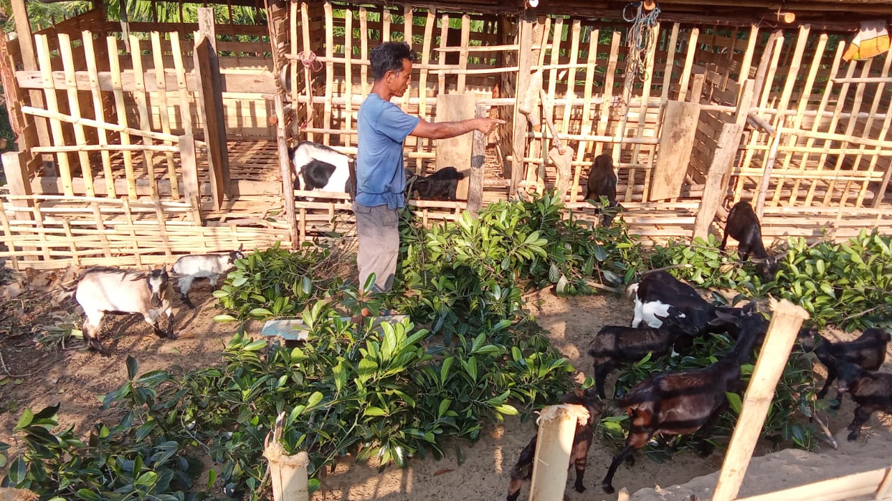 Livelihood