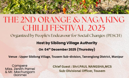 Welcome to the Chilli & Orange Festival 2025!